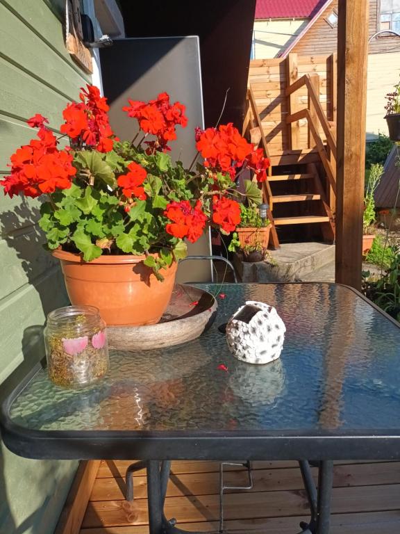 Lili stuudio, Otepää