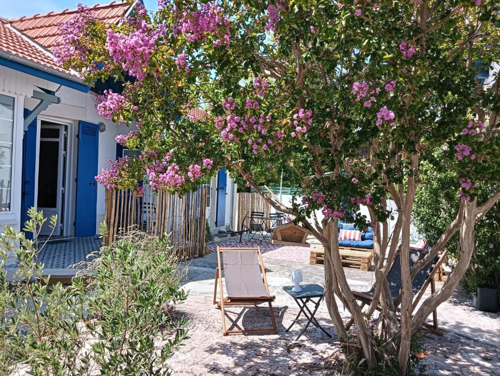 La charmante Albertine villa proche port - 1