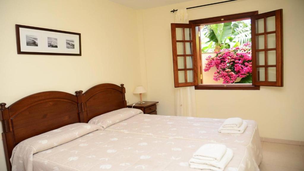 Apartamento Heliconia 3 - 1