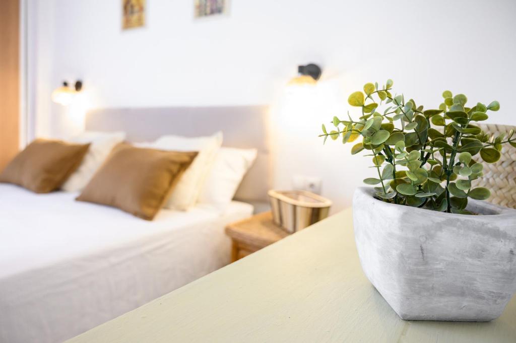 Cozy Loft Matias Costa del Sol Benalmadena Malaga - 4