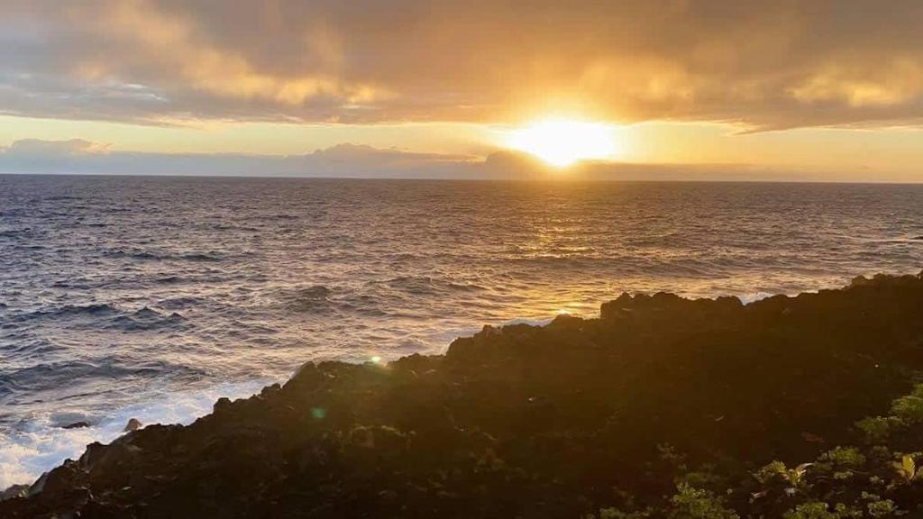 Oceanfront studio see whales and dolphins, Pahoa