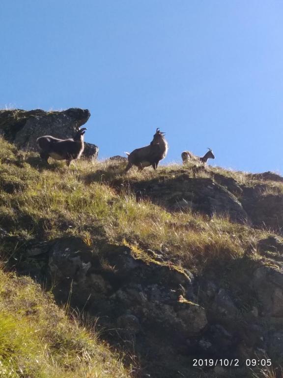 스포츠&체험활동