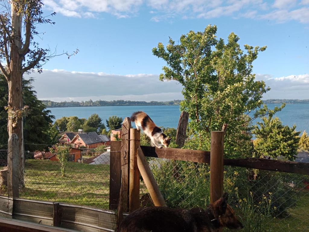 Cabaña Génesis - 4