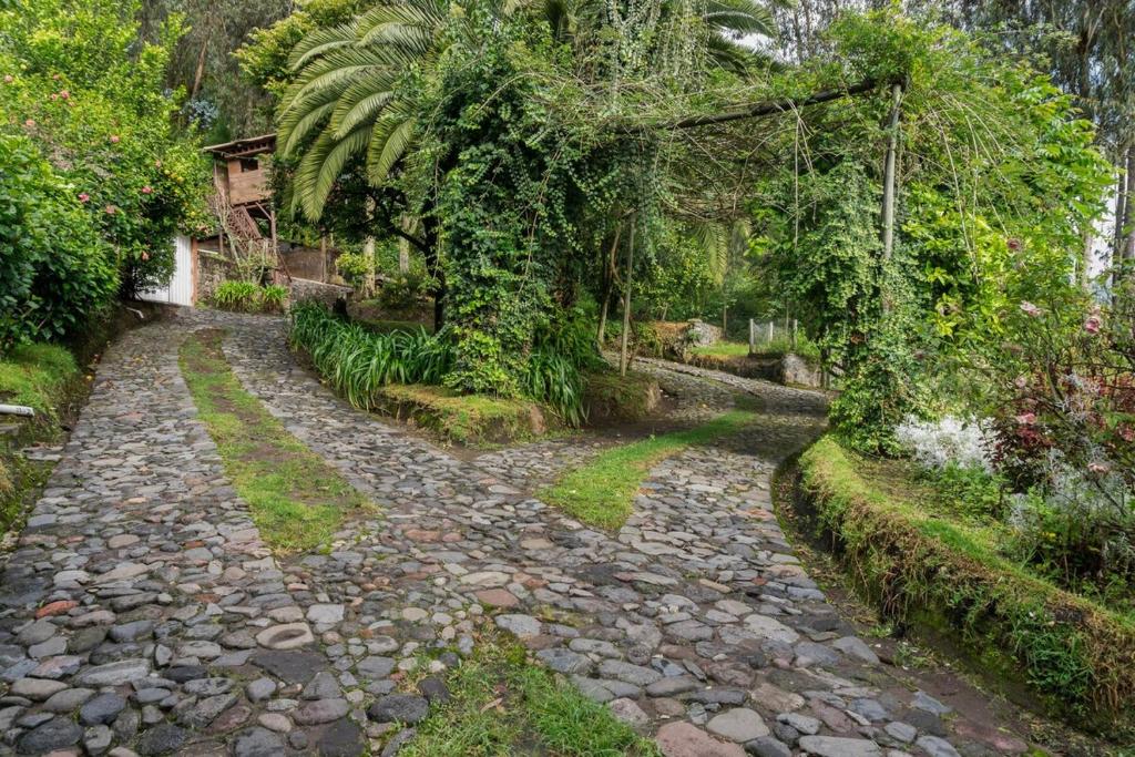 Spacious Quinta with green areas - 5