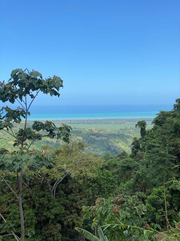 Casinha da Floresta - 3