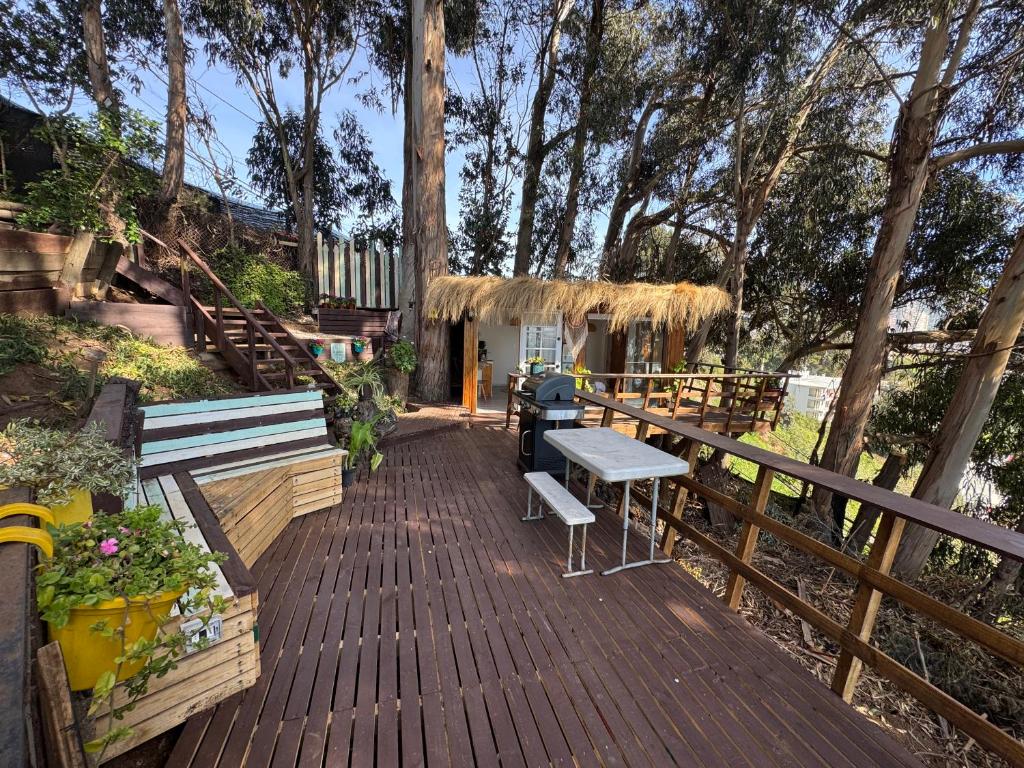 Casa en el arbol - 3