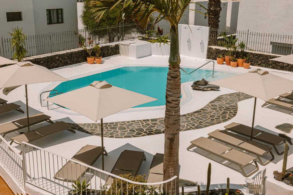 Apartamentos Princesa Guayadeque — Swimming pool in Puerto del Carmen, Canary Islands