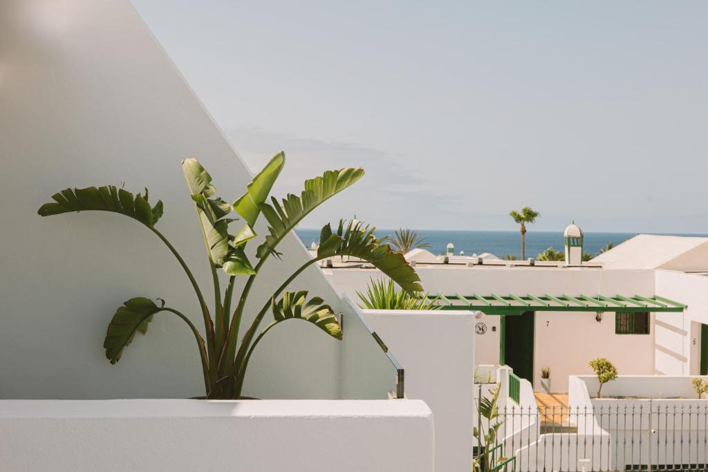 Apartamentos Princesa Guayadeque — Hotel building in Puerto del Carmen, Canary Islands