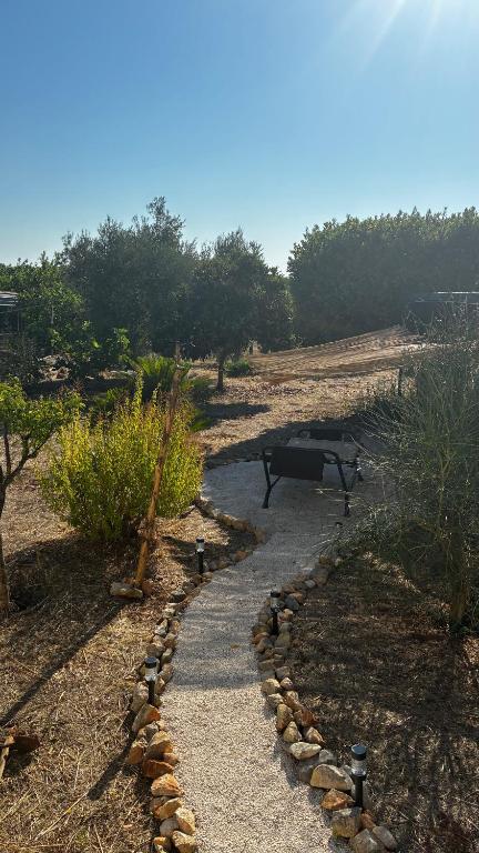 La casa degli ulivi - 5