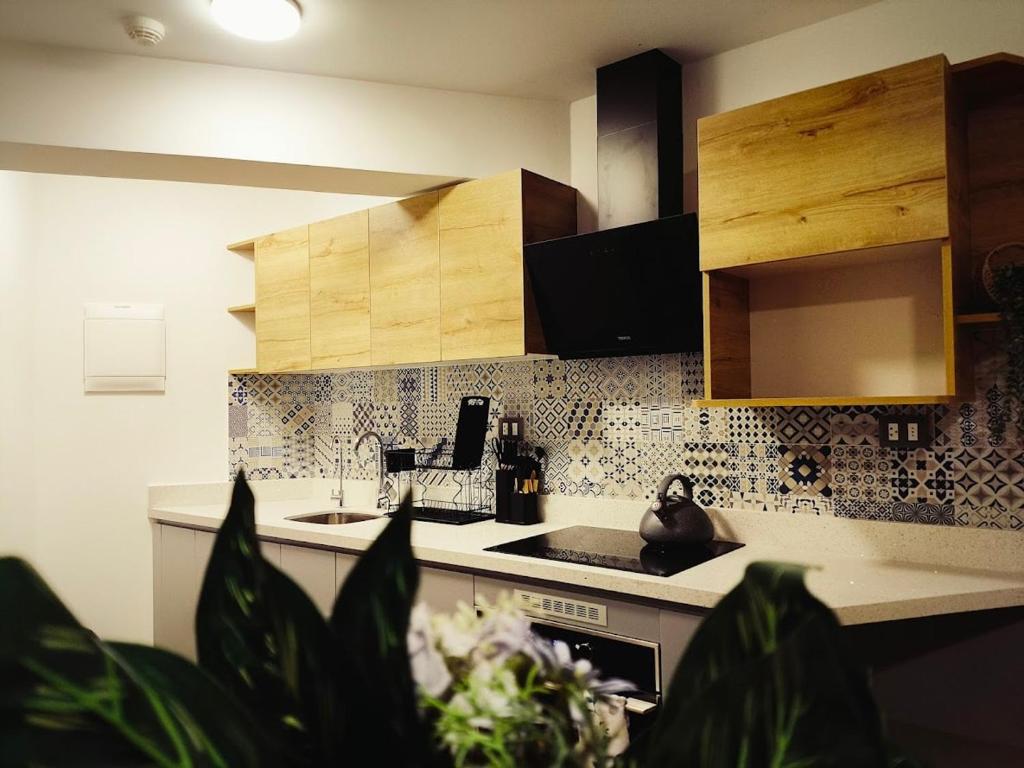 Comfortable Apartment in Arequipa - 2