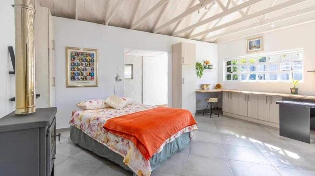 Something About Hibiscus, Paarl