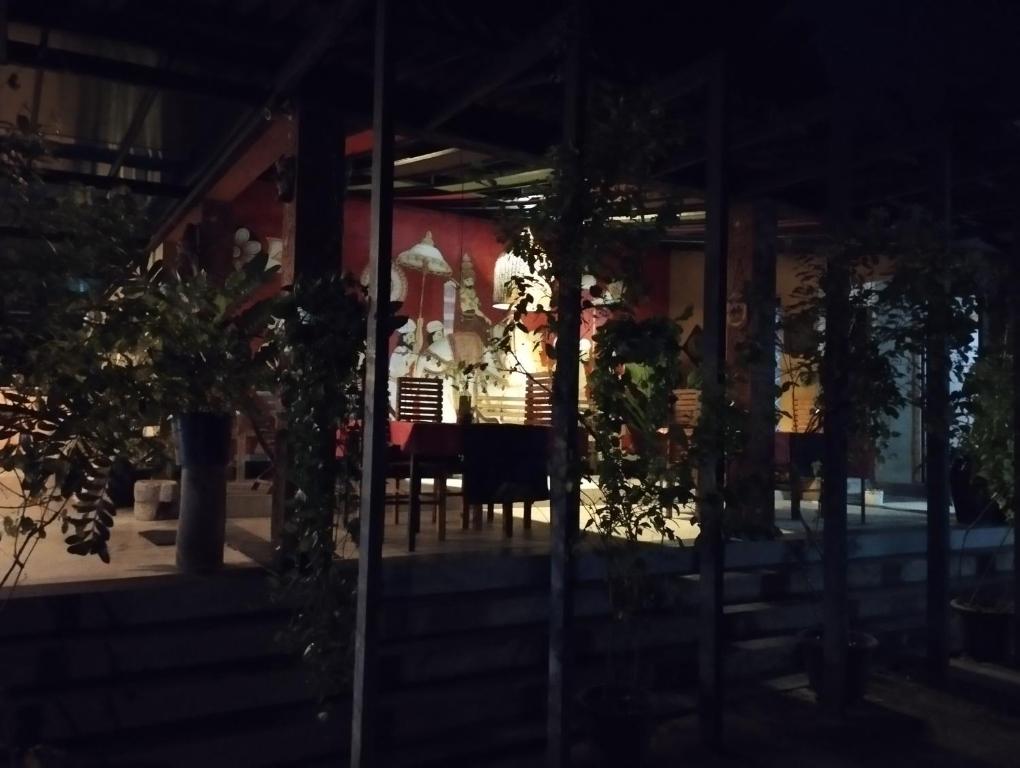 Ảnh 5