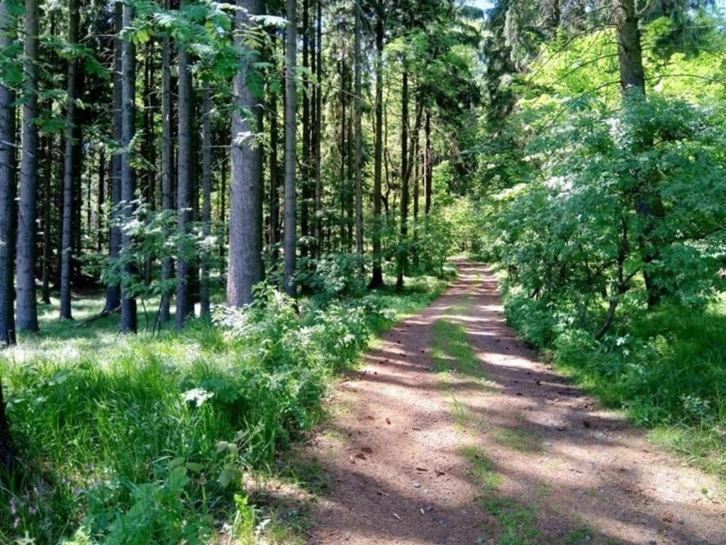 Surrounding environment