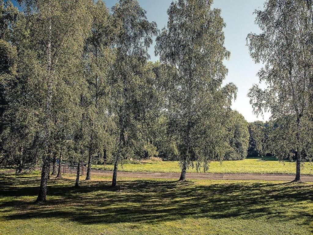 Surrounding environment