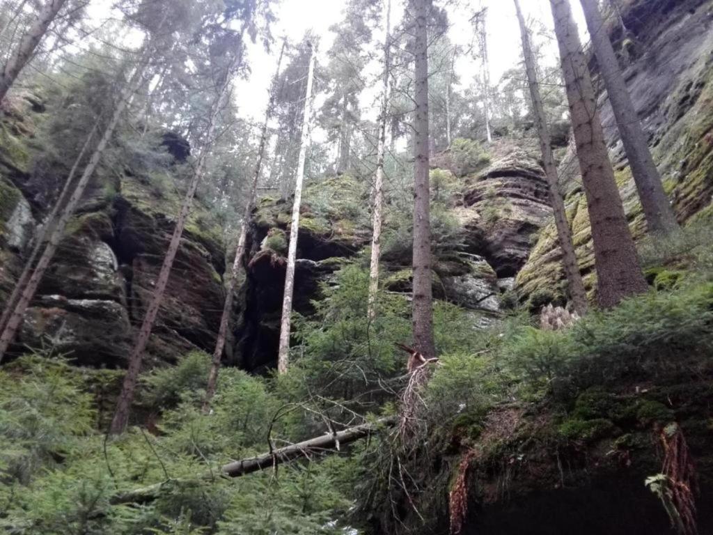 Surrounding environment