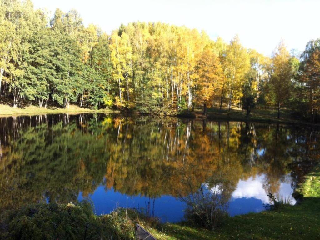 Surrounding environment