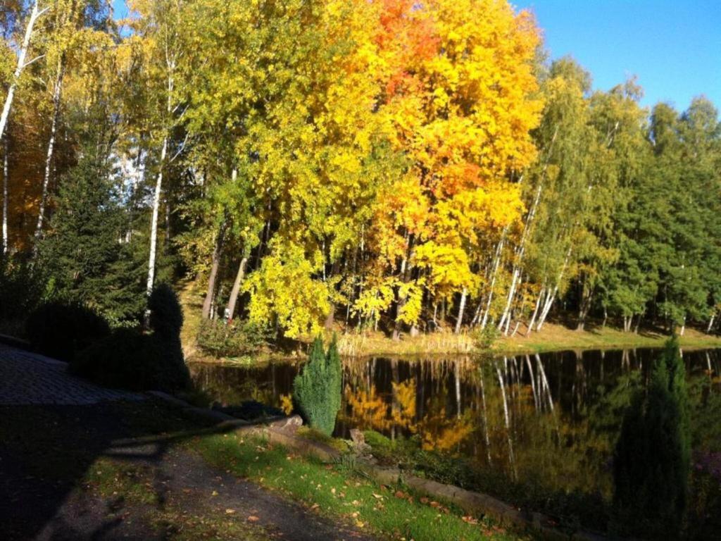 Surrounding environment