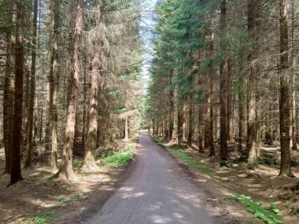 Surrounding environment