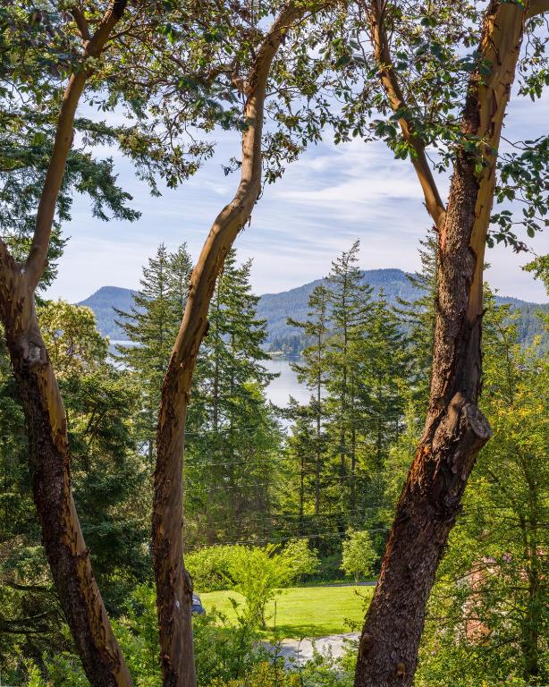 Beautiful Waterviews, Pet-friendly, Close To Town, Eastsound