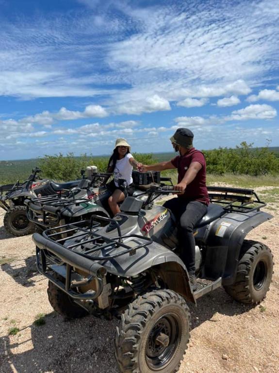 アクティビティ