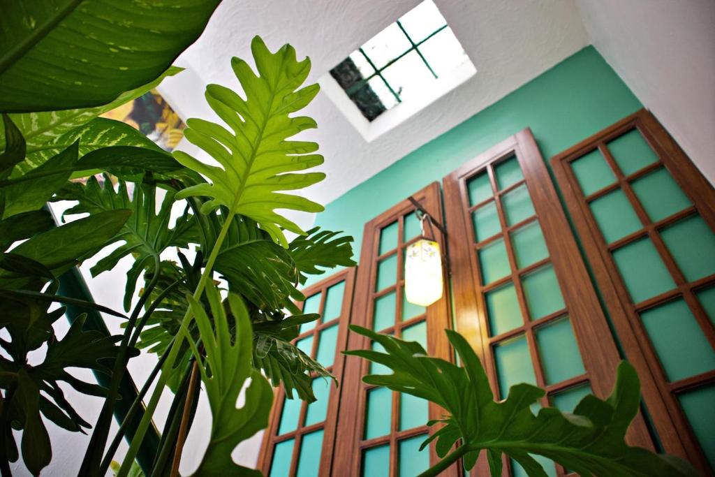 Stylish Art Déco Mexican House with rooftop - 4