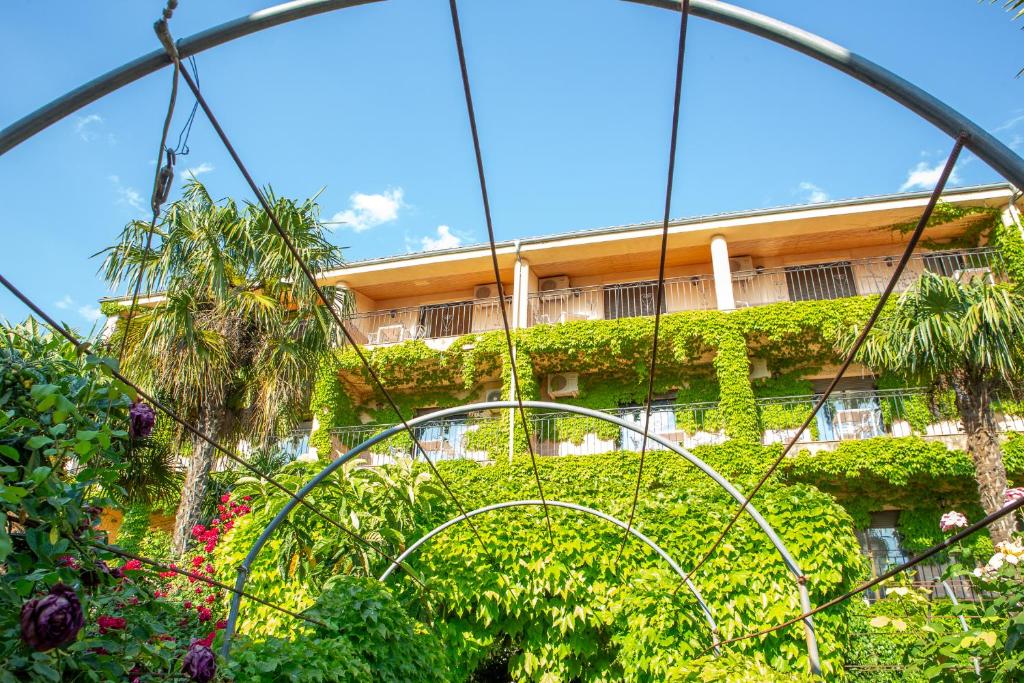 Hostal Los Rosales, Alcaraz