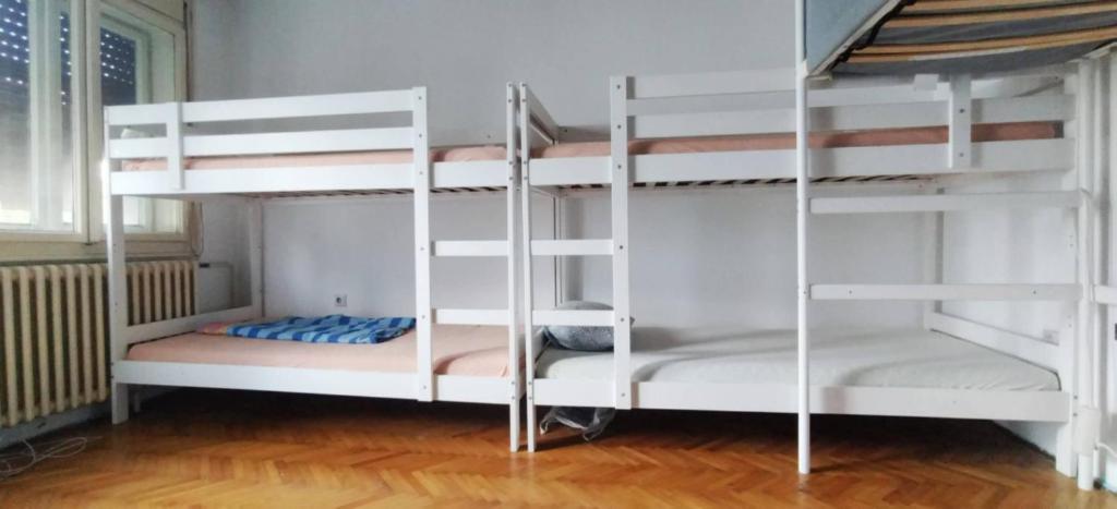 Swan lake hostel - 4