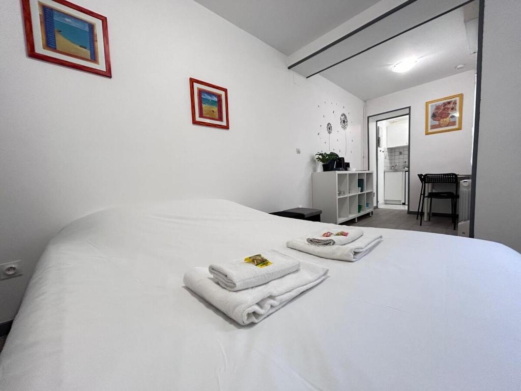 Duruy 4 studio cosy rdc fdc proche centre-ville - 1