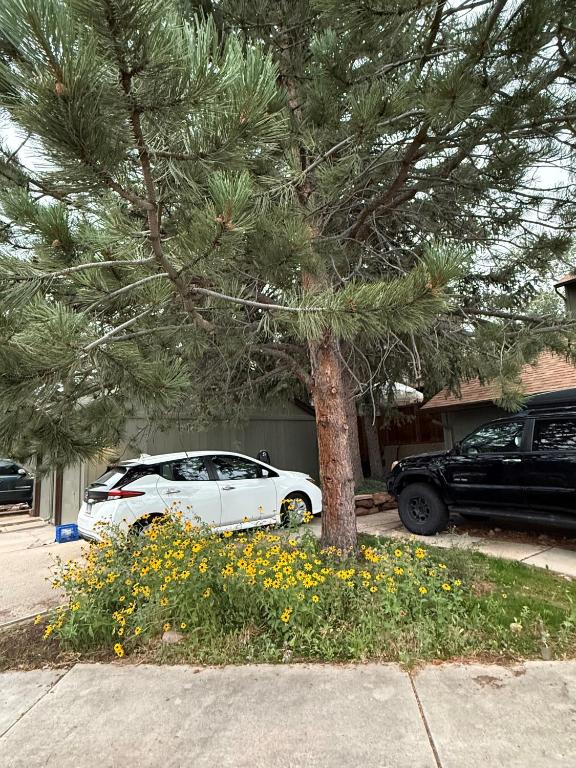 Foothills of the Rockies, Boulder