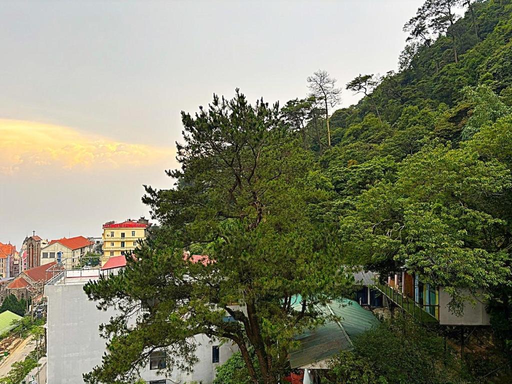 Surrounding environment