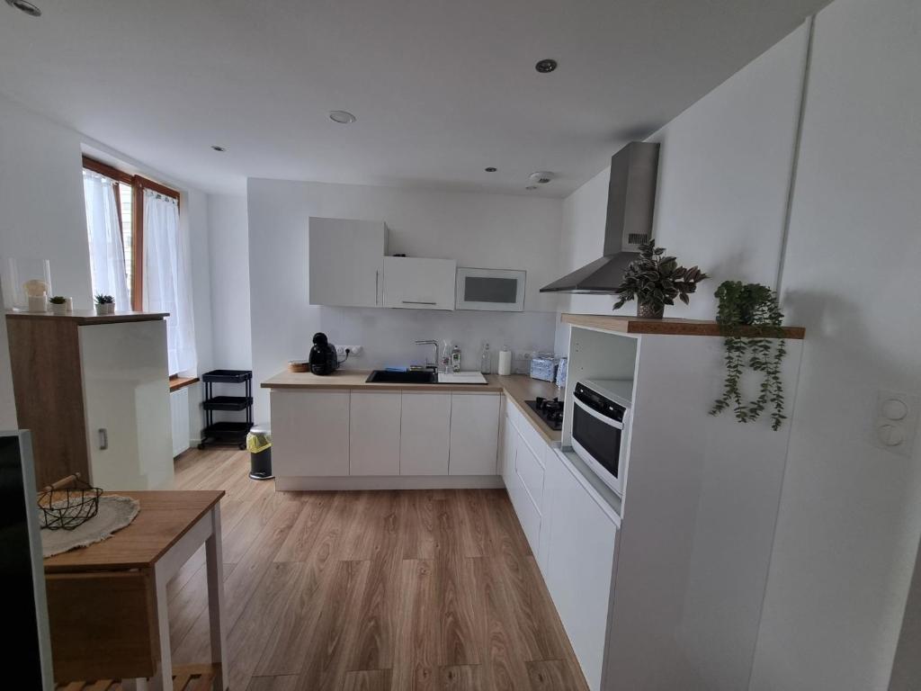 COLMAR Appartement 6 personnes parking privé JAB'S HOME 2 - 5