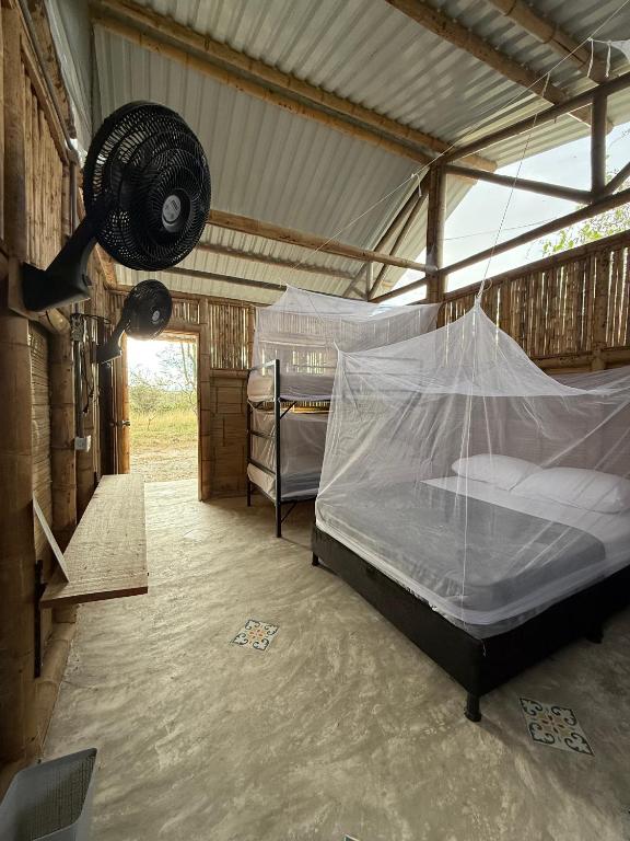 Bosque Seco Bioreserva & Hostel - 5