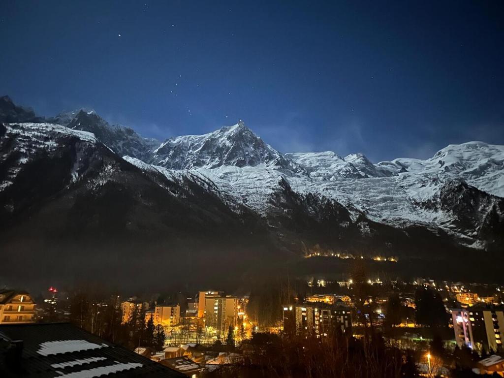 Amazing Mt Blanc View 2 Bed, Parking, 10mins walk - 2