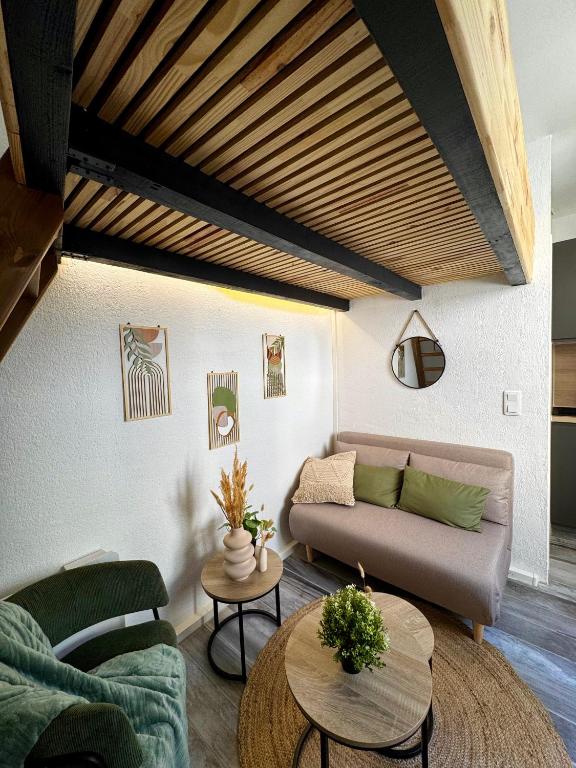 La cabane des Gémeaux - Studio - 3