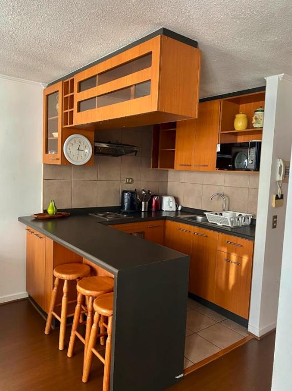 Departamento 1D1B, Metro Irrarazaval, Excelente conectividad - 2