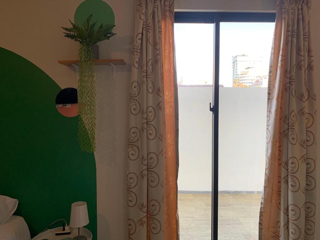 Studio Garden in El Prado - 2