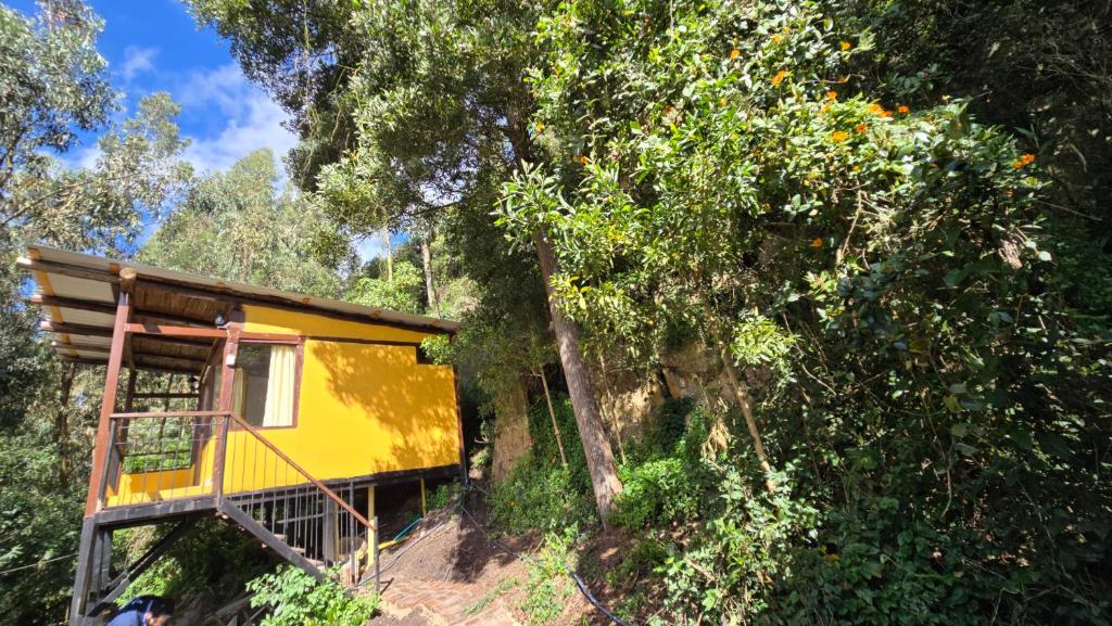 chalet de montaña - 4