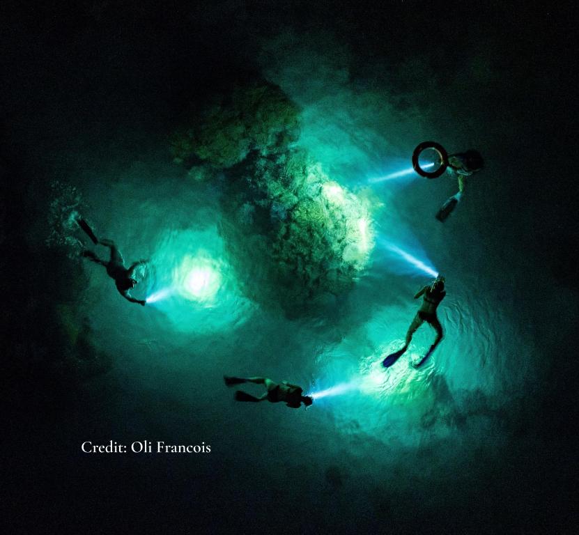 Sports and activities