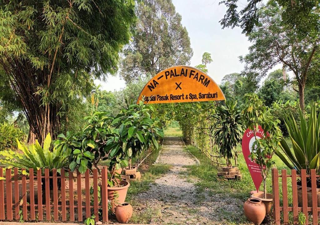 Surrounding environment