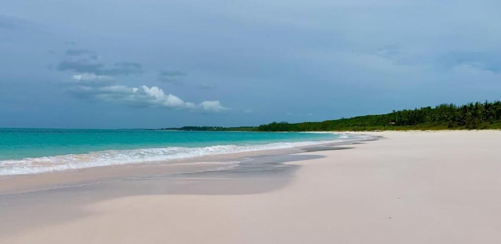 Cayo Loco Studio - Cayo Loco Pink Sand Beachview Studio Villa home, Colebrooke Dale