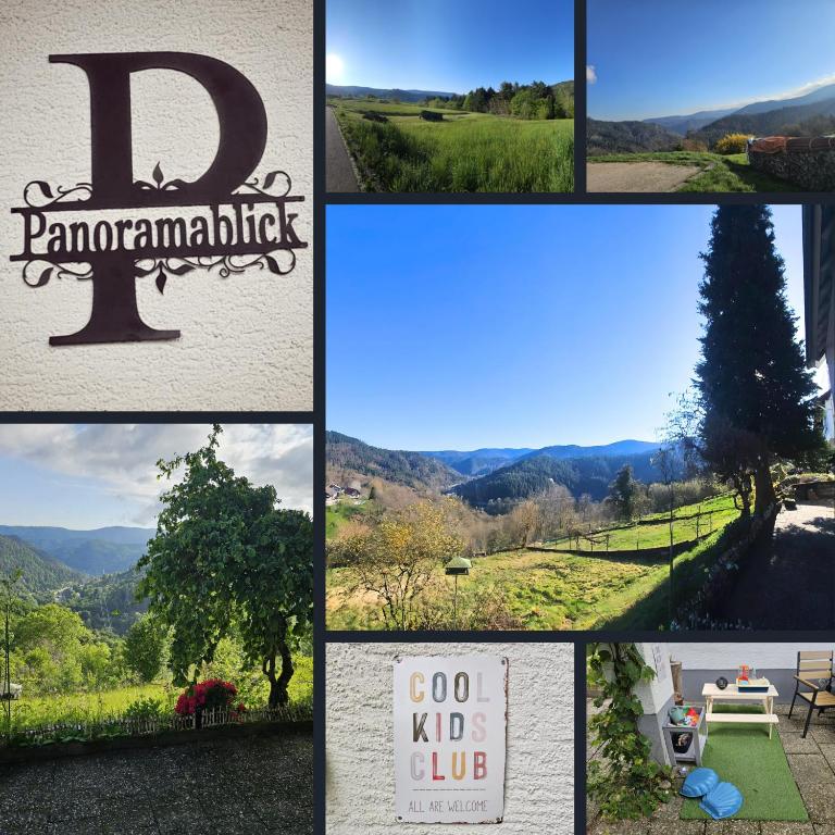 Panoramablick Bermersbach, Forbach