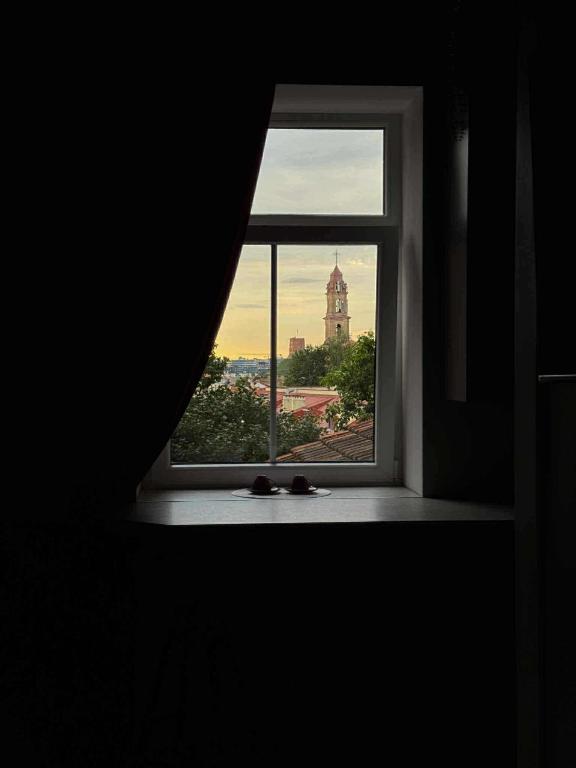Jacuzzi overlooking the tower, Vilnius