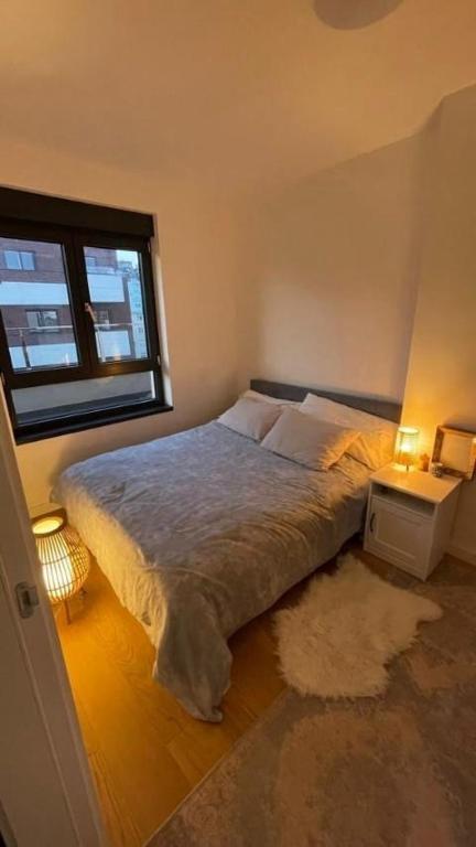 Belgrade Terrace Apartment - 3
