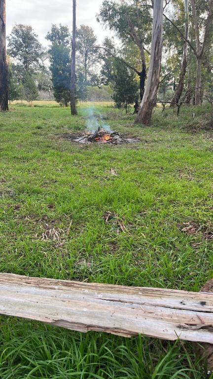 Alamos de Carlos Keen - 1