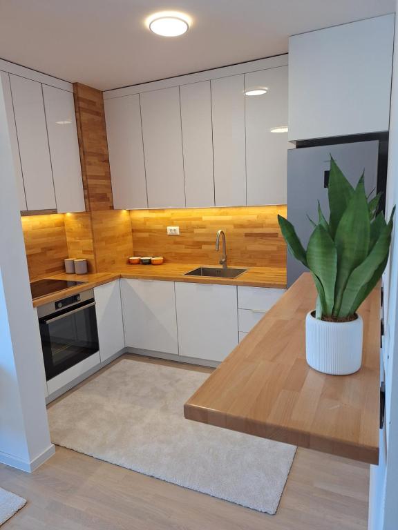 Sunset Dream Apartment -- 2 minutes from the Airport - 4