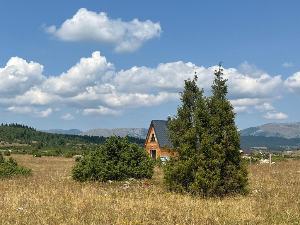 Monte Point Durmitor - 2