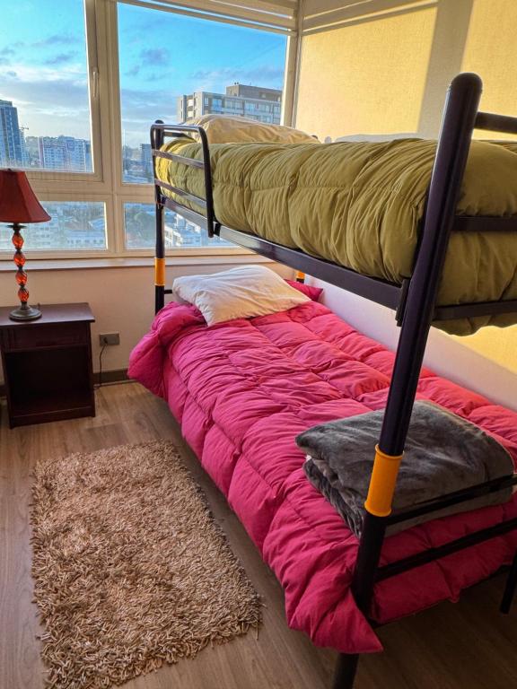 Concep Centro Freiré-Tucapel - 3