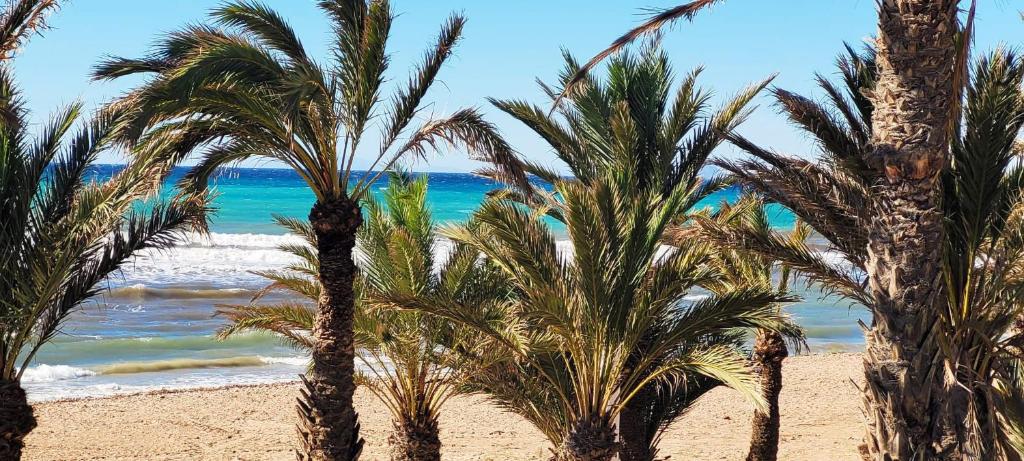 Puntal playa, Cartagena