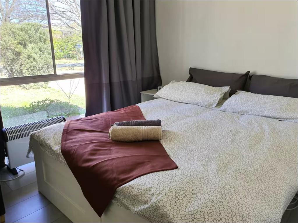 Dana-Large Room in a Shared House-Close to City & ANU-1, Downer