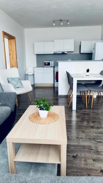 Apartmán Lilly, Borovany